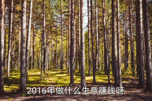 2016做什么能發(fā)財，2016年做什么生意賺錢呀