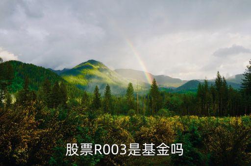 標準債券r003什么意思，股票R003什么玩意