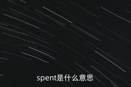 spent是什么意思