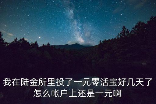 我在陸金所里投了一元零活寶好幾天了怎么帳戶上還是一元啊