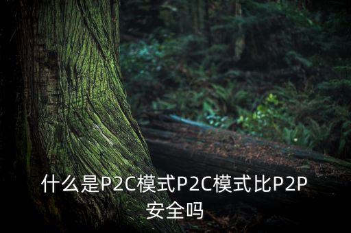 什么是P2C模式P2C模式比P2P安全嗎