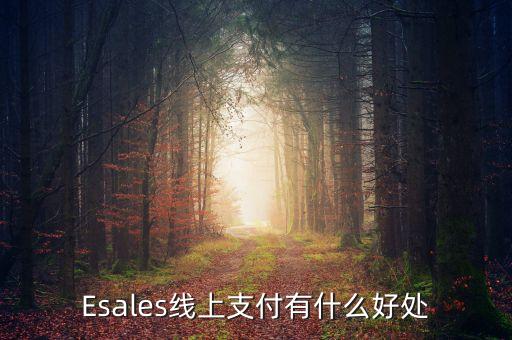 Esales線上支付有什么好處