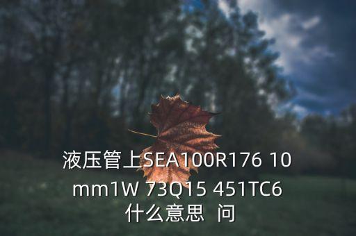 液壓管上SEA100R176 10mm1W 73Q15 451TC6 什么意思  問