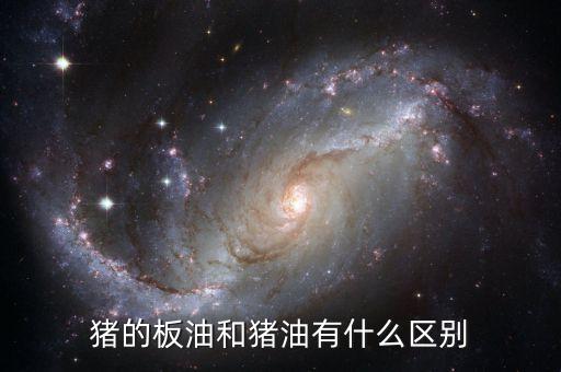 豬的板油和豬油有什么區(qū)別