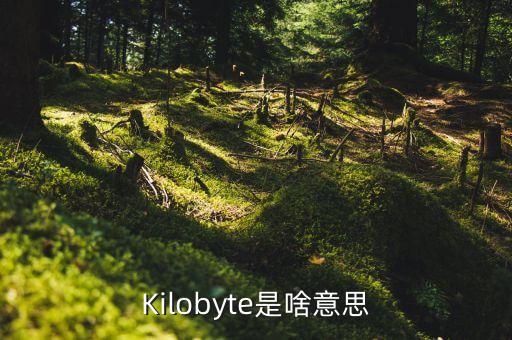 Kilobyte是啥意思