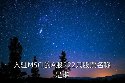 入駐MSCI的A股222只股票名稱是誰