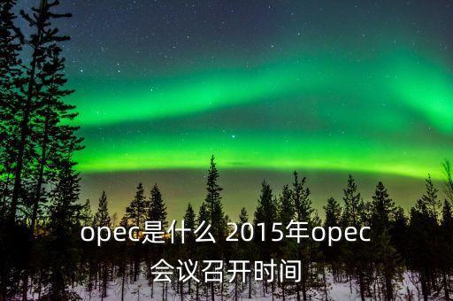 什么是opec會議，OPEC石油會議是什么時候召開啊石油價格會受影響嗎