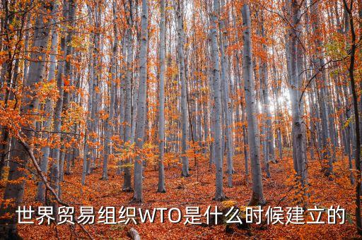 世界貿(mào)易組織WTO是什么時候建立的