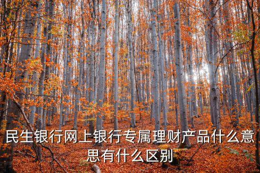 民生銀行網(wǎng)上銀行專屬理財產(chǎn)品什么意思有什么區(qū)別