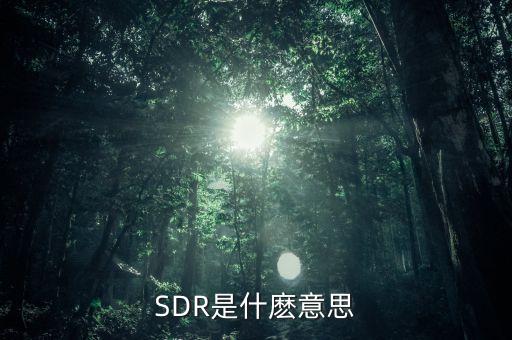 sdr是什么組織，SDR是干嘛的