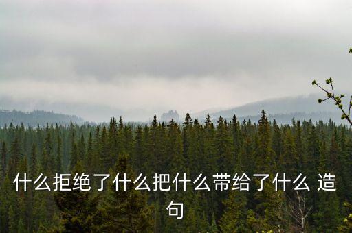 把什么帶給什么，什么拒絕了什么把什么帶給了什么 造句