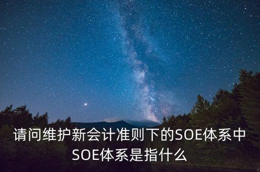 銀行中SOE為什么，有誰知道SOE是什么嗎