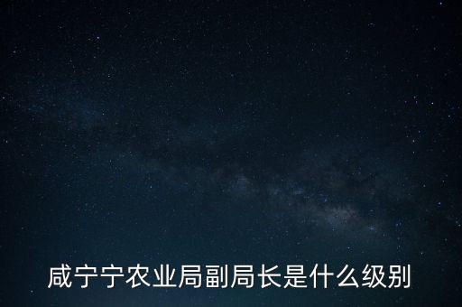 趙建澤是什么級別，中石化等大型國企老總是什么級別