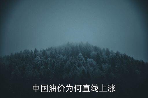 為什么油價，為什么油價會不斷的上升