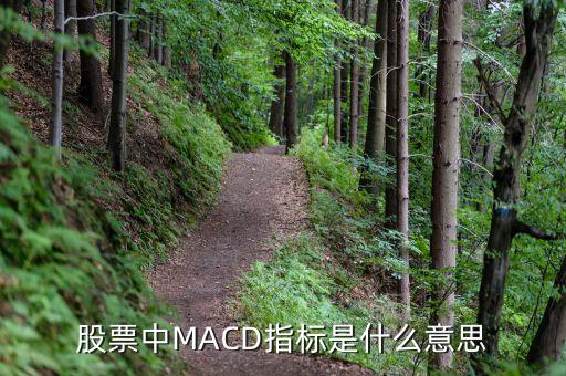 macd指標(biāo)什么意思，股票中MACD指標(biāo)是什么意思