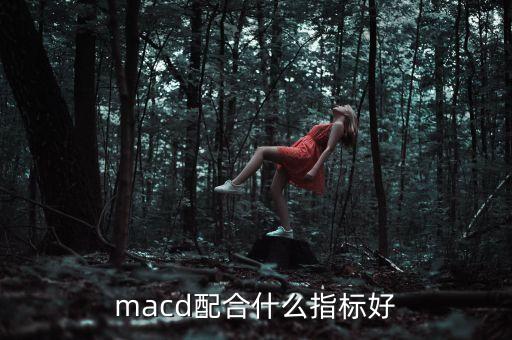 macd配合什么指標(biāo)好