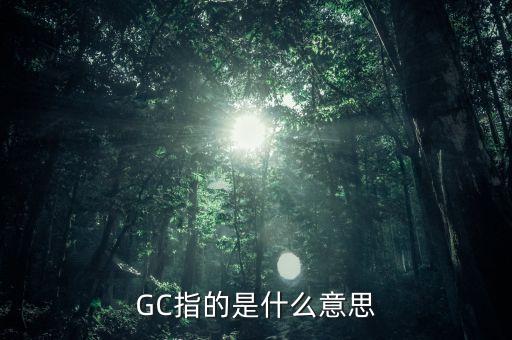 基金前面的GC什么意思，gc是什么意思