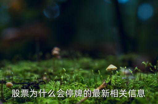 股票為什么會停牌的最新相關信息