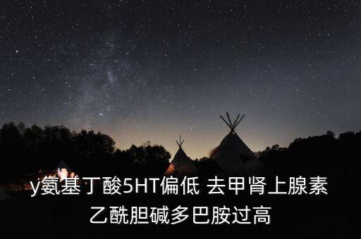 y氨基丁酸5HT偏低 去甲腎上腺素乙酰膽堿多巴胺過高