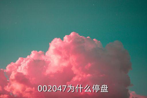 002047為什么停盤