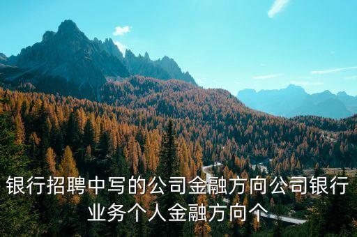 銀行招聘中寫的公司金融方向公司銀行業(yè)務(wù)個人金融方向個