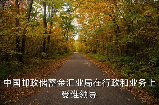 中國(guó)郵政集團(tuán)公司是什么級(jí)別，湖北省集郵公司是事業(yè)單位嗎該公司的業(yè)務(wù)部主任相當(dāng)于什么行政級(jí)