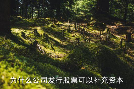 為什么公司發(fā)行股票可以補(bǔ)充資本