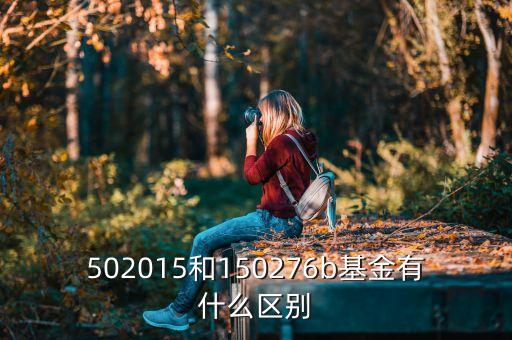 502015和150276b基金有什么區(qū)別