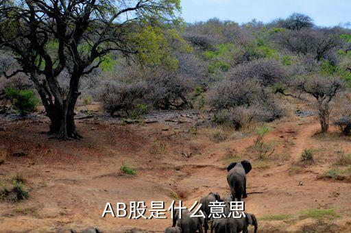 AB股是什么意思