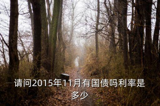 201511月發(fā)行什么國債，請問2015年11月有國債嗎利率是多少