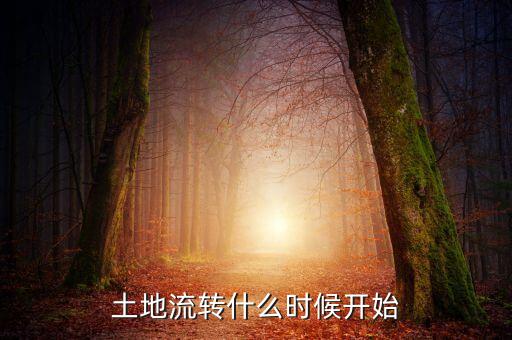 什么時(shí)間搞土地流轉(zhuǎn)，土地流轉(zhuǎn)制度改革始于什么時(shí)候