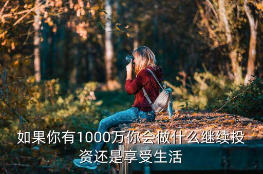 如果你有1000萬你會做什么繼續(xù)投資還是享受生活