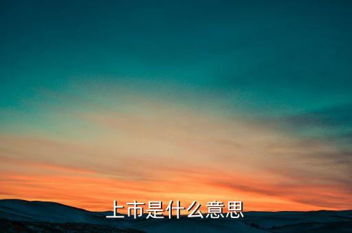 什么是介紹上市，上市是什么意思