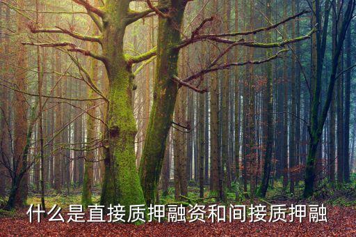 什么是直接質(zhì)押融資和間接質(zhì)押融