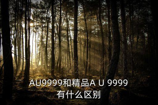 AU9999和精品A U 9999有什么區(qū)別