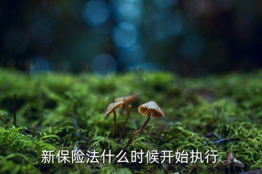 新保險法什么時候開始執(zhí)行