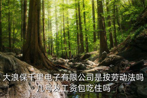 保千里是什么公司，深圳市保千里電子有限公司的公司簡介