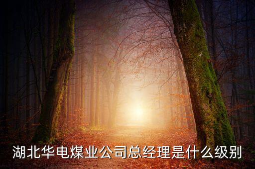 湖北華電煤業(yè)公司總經(jīng)理是什么級(jí)別