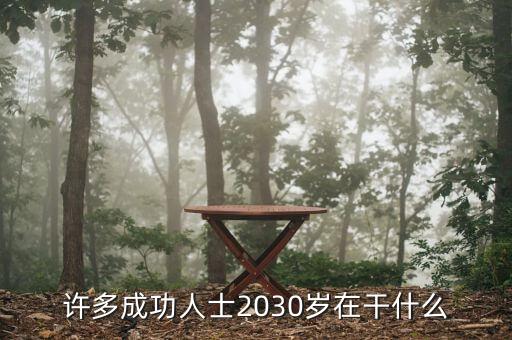 許多成功人士2030歲在干什么