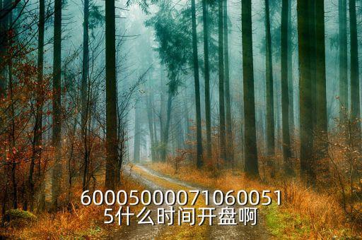 600050000710600515什么時(shí)間開(kāi)盤(pán)啊