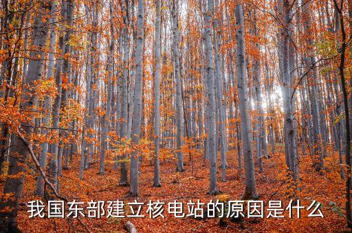 我國東部建立核電站的原因是什么