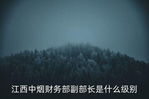 江西中煙財務(wù)部副部長是什么級別