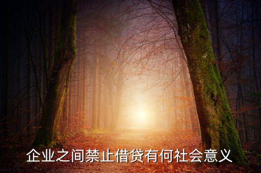 為什么企業(yè)間不能借貸，公司之間是否不能互相借貸公司能否向公司抵押房屋有沒有明確的