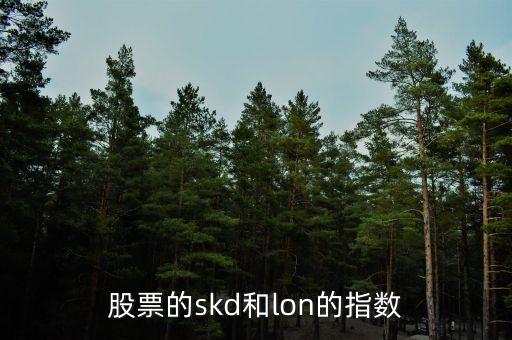 股票的skd和lon的指數(shù)