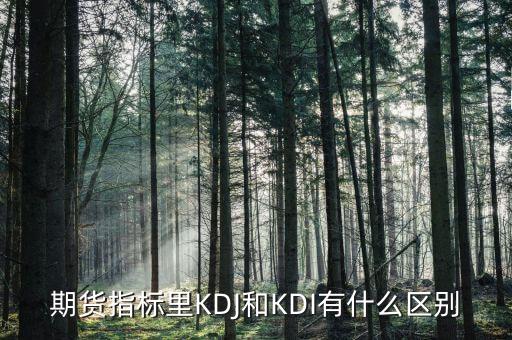 期貨指標里KDJ和KDI有什么區(qū)別