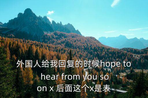 外國人給我回復(fù)的時(shí)候hope to hear from you soon x 后面這個(gè)x是表