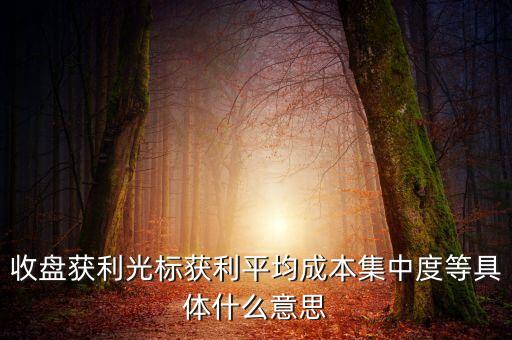 收盤獲利光標(biāo)獲利平均成本集中度等具體什么意思