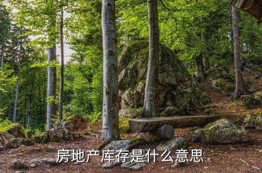 要化解房地產(chǎn)庫存是什么意思，房地產(chǎn)庫存是什么意思