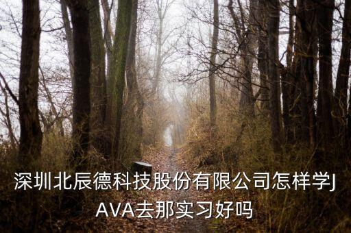 深圳北辰德科技股份有限公司怎樣學(xué)JAVA去那實習(xí)好嗎