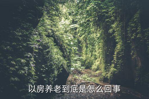 以房養(yǎng)老到底是怎么回事